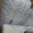 Pampers Pure Baby Diapers, Size 5 (27+ lbs), 132, Up to 100% Leakproof, Premium Hypoallergenic Soft Diapers