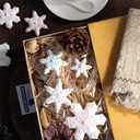 Snowflake Cookie Cutters Set of 10 pcs, Stainless Steel Snowflake Shaped Christmas Holiday Baking Molds for Fondant & DIY Crafts