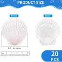 20PCS Large Scallop Shells for Crafts, 4-5 Inch Natural Sea Shells for Decorating, White Seashells Bulk for DIY Crafting, Painting, Baking, Ocean Themed Party Supplies & Decorations