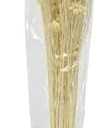26" L Dried Sesame Bunch