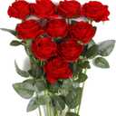 JUSTOYOU 10Pcs Artificial Roses Flowers, Realistic Blossom Roses, Real Touch Silk Rose, Single Fake Flower Long Stem Bouquets for Home Wedding Party Decoration (Red)