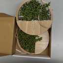 Floweroyal 2pcs Artificial Succulents Hanging Plants 12.2'' Fake String of Pearls in Pot with 8.3'' Lanyard for Indoor Outdoor Wall DecorWood Color.