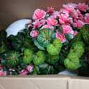 2 Sets Artificial Hanging Baskets Flowers for Outdoors, Already Assembly Silk Flower with Hanging Baskets UV Resistant Realistic for Spring Summer Garden Porch Yard Patio Outside Decor, Pink