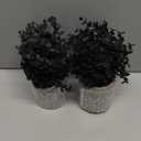 2 Pack Black Fake Eucalyptus Small Fake Plants Potted Artificial Plants for Halloween Decorations Shelf Desk Home Farmhouse Room Coffee Table Bathroom Decor(Black)