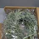 AuldHome Design Artificial Christmas Wreaths (2-Pack, 14-Inch); Evergreen Flocked Greenery w/Pinecones for Doors, Stairways and Windows, Indoor/Outdoor