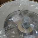 20'' Boho Gold Rattan Fandelier Ceiling Fans with Lights and Remote Control, Large