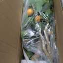 Jexine 2 Pack Artificial Lemon Tree 4 ft Tall Fake Plant Pre Potted Faux Lemon Tree Realistic Fruits for Indoor Home Decor Office Living Room