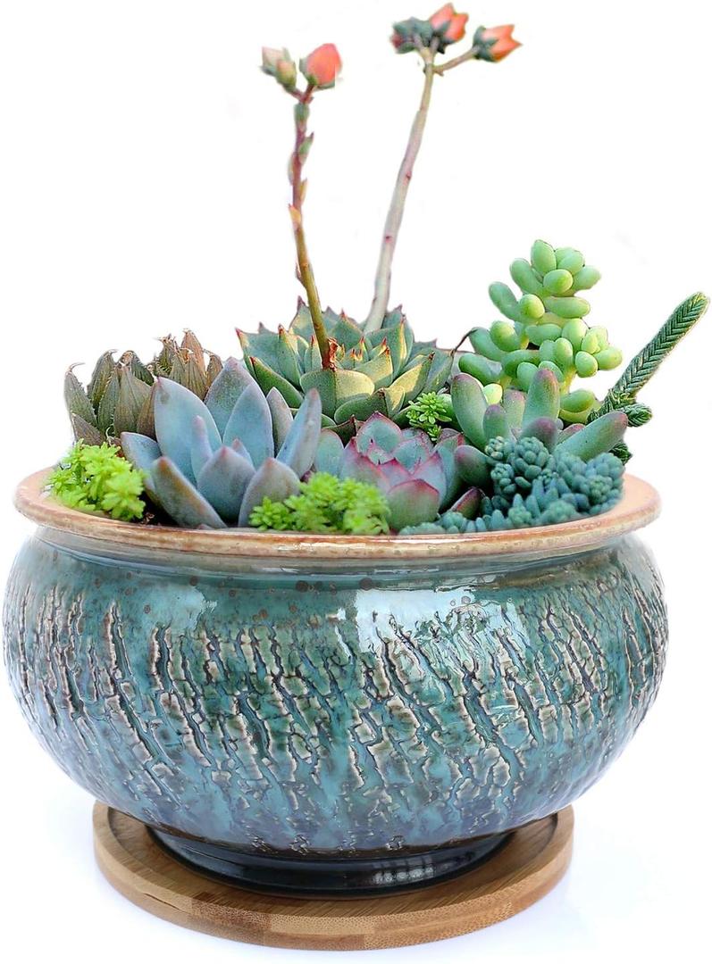 Ceramic Plant Pot with Drainage Hole and Tray, Succulent Holder, Bonsai, Flower Vase, Garden Decorative for Snake Plant, Aloe, Oxalis