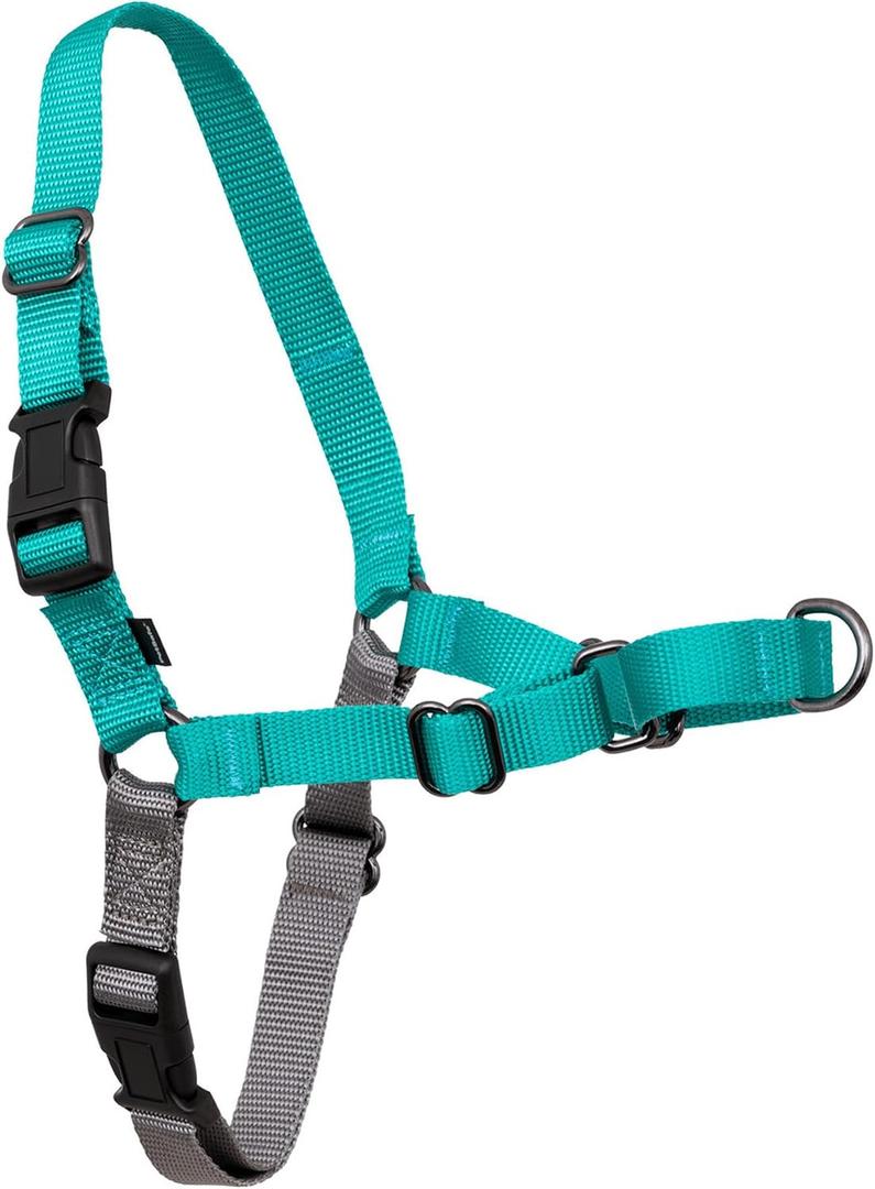 PetSafe Easy Walk No-Pull Dog Harness - Ultimate Harness to Help Stop Pulling - Pull-Free Walks - Take Control & Teach Better Leash Manners - Patented Martingale Loop Design - Teal, Large