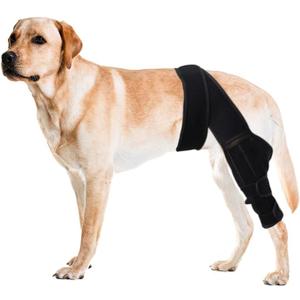 Professional Dog Knee Brace for Torn ACL, CCL Injury & Arthritis Relief - Adjustable Neoprene Support with Stabilizers for Small Dogs 15-25KG (L)