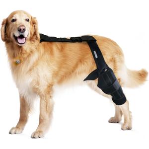 Dog Knee Brace for Torn ACL & Hind Leg Support  Adjustable Dog Hip & Leg Brace for Cruciate Ligament, Arthritis Relief, Joint Stability & Injury Recovery, Color: Black, Size: M