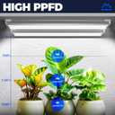 Barrina Grow Lights, 2FT 5000K White Full Spectrum Plant Growing Lamps, 144W(6 x 24W, 800W Equivalent), T8 LED Grow Light Bulbs, Plant Lights for Indoor Plants, Greenhouse, Linkable Design, 6-Pack