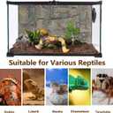 Tfwadmx Snake Climbing Branch, Reptile Climbing Decor Resin Reptile Climbing Wood Branches, Gecko Tank Branches Decor for Lizards, Tarantulas, Hermit Crab, Frogs