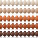 Beeveer 50 Pcs Plastic Easter Eggs Bulk for Easter Hunt 1.6 x 2.4 Inch Colorful Hanging Plastic Eggs for Basket Fillers Party Favor DIY Crafts Decoration(Brown Series)
