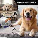 Muddy Mat Dog Crate Bed mat, Comfortable Dog Pillow, Crate Bed for Large Medium Small Dogs and Cats, Ultra Soft & Relaxing Washable & Dryer Safe Chenille Material Medium (23"x36")