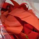 12Pcs Red Velvet Ribbon Bows Christmas Tree Decorations,5in x 10in Xmas Ornaments for Tree Home Party Front Door Wreath Holiday Decor