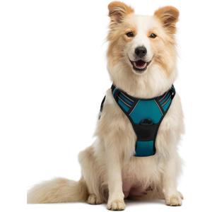 rabbitgoo Dog Harness No Pull with 2 Leash Clips, Adjustable Soft Padded, Reflective Oxford No Choke Pet Vest with Easy Control Handle for Medium Sized Dogs, Blue Coral, M