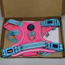 PHOEPET No Pull Dog Harness, Unique Colors Reflective Adjustable Dog Vest, with Soft Training Handle Metal Clips for Small Medium Large Dogs (Pink Base & Green Straps,L)