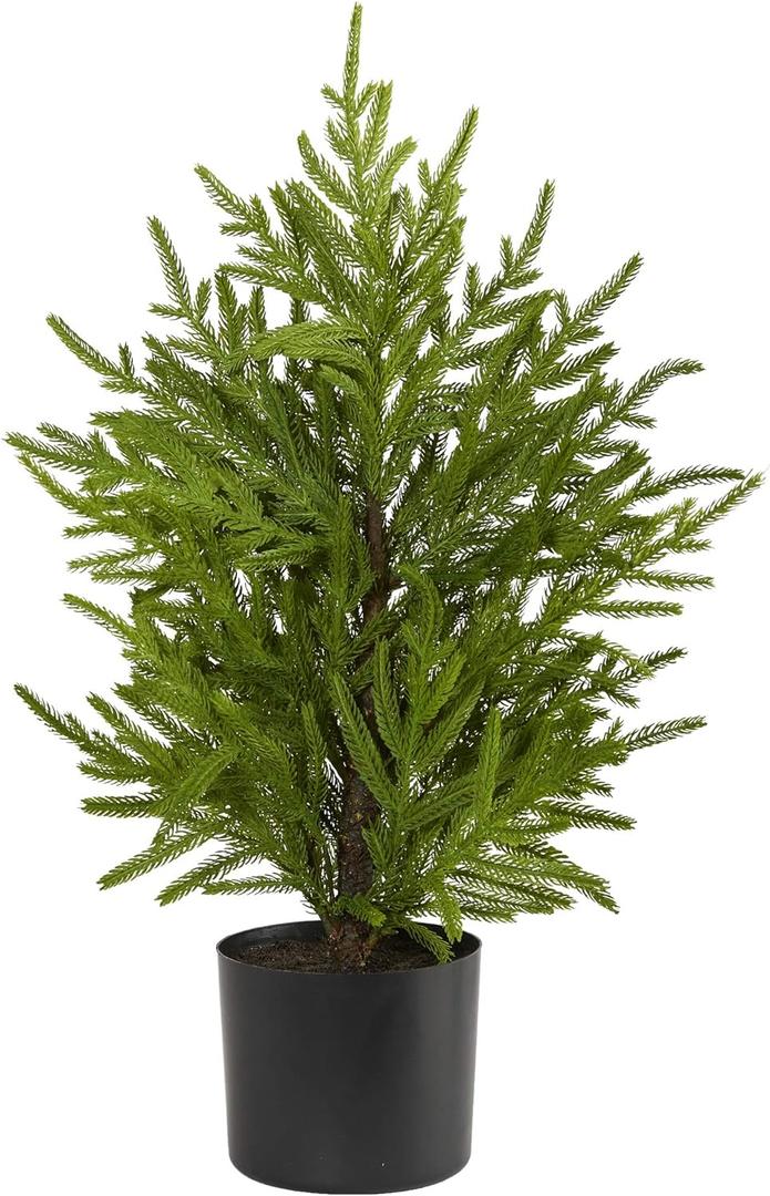 Nearly Natural 2ft. Norfolk Island Pine Natural Look Artificial Tree in Decorative Planter (Green)