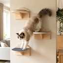 3 Pcs Cat Steps for Wall, 7.5"7.5" Wooden Cloud-Shaped Climbing Ladder Stairs & Wall Mounted Cat Shelves with Felt Pads, Suitable for Indoor Kittens and Adult Felines