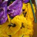 Hananona 12 Bundles Artificial Flowers Outdoor UV Resistant Artificial Silk Pansies Faux Plastic Flower in Bulk Fake Outdoor Plants(12, Yellow, White, Purple)