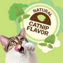 Purina Friskies Made in USA Facilities, Natural Cat Treats, Party Mix Natural Yums Catnip Flavor - 20 Ounce (Pack of 1) (EXP 09/01/26)