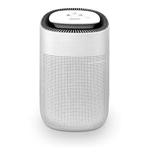 Tenergy Sorbi 1000ml Air Dehumidifier w/ Purifying Function, True HEPA Filter, Auto Shutoff, Touch Control Adjustable Air Speed, Ultra-Quiet, Ideal for Closets & Bathrooms