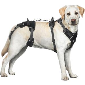 Dollephi Dog Lift Harness, Dog Lift Sling Carrier with Handle & Shoulder Sling, Support Harness for Rear Back Legs Helps, Disabled, Arthritis, Joint Injuries, Paralysis Up Stairs（Black, Extra Large）