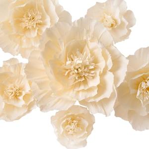 MEJOY Crepe Paper Flowers Decoration for Wall, Flowers for Wedding Decor,Flower Backdrop Decor,Baby Shower,Birthday Party,Photo Backdrop,Archway Decor, Nursery Wall Decor(Beige,Set of 6)