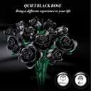 Mother's Day Black Rose Building Blocks Bouquet, 634 PCS Artificial Flower Botanical Collection Building Set, Educational Toys for Girls Kids, Gift for Women Wife Adults