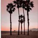Stupell Industries Stanta Monica Palms Pink Canvas Wall Art design by Natalie Carpentieri, 45 x 30