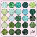 12500pcs John Bead Assorted Glass Seed Beads 8/0, 24 Colors Green Fields Palette Round Bead for DIY Crafts Jewelry Making Bead Box