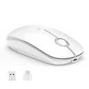 VssoPlor Type C Wireless Mouse, USB C MacBook Wireless Mouse Dual Mode Cordless Mice with USB and Type C Receiver Compatible with PC, Laptop, MacBook and All Type C Devices-White Silver