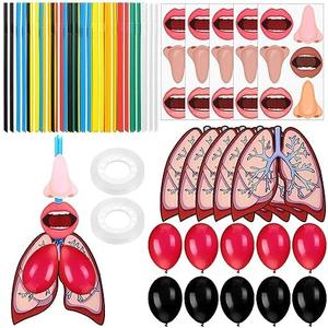 Libima 24 Sets Lung Model Respiratory System Model Toys Science Classroom Study Display Biologic Anatomy Doll and Human Body Puzzle Learning Homeschool Preschool Early Childhood Teaching Aid
