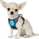 Eagloo Small Dog Harness No Pull, Service Vest with Reflective Strips and Control Handle, Adjustable and Comfortable for Walking, No Choke Pet Harness with 2 Metal Rings, Sky Blue, XS