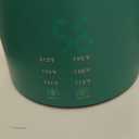 650ml Small Electric Kettle with 6 Temperature Control,800W Dual Voltage 110-240V Fast Heat Hot Water Boiler,304 Stainless Steel Portable Travel Electric Kettle Small,12H Keep Warm (Green)