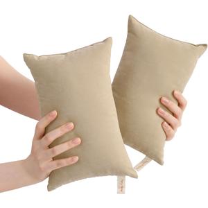 BEDSUM Tiny Pillows, 11x7 Mini Microfiber Small Pillow for Neck and Lumbar Support - Machine Washable Cushion for Office Desk, Backpacking and Travel - Pillow Inserts, 2 Pack, Taupe
