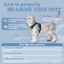 rabbitgoo Cat Harness and Leash for Walking, Escape Proof Soft Adjustable Vest Harnesses for Cats, Easy Control Breathable Reflective Strips Jacket, Doodle Gray,M