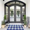 SEEKSEE Buffalo Plaid Outdoor Rug 27.5x43 Blue and White Front Door Mat, Layering Rug for Porch, Summer Doormat, Front Porch Rug for Outdoor Entrance Entryway Patio Porch Decor