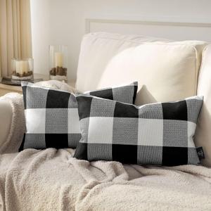 Phantoscope Pack of 2 Gingham Buffalo Check Plaid Throw Decorative Pillow Cover Outdoor Indoor Throw Pillows Farmhouse Square Pillow Cases for Home Decor Black and White,12 x 20 Inches