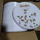 Garden Dinnerware White/Gold 10.6" Plates, Case of 120 (12 packs x 10)