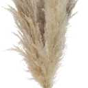 Nearly Natural Set of 48 Stalks Naturally Dried Pampas Grass Bundle 33-Inch Long, Boho Home Dcor for Weddings, and Floral Arrangements, Trendy and Chic Neutral Tones