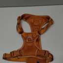 No Pull Dog Harness for Small Medium Large Dogs - Adjustable 2 Layer Mesh Dog Vest with Dual Clip, Escape Proof, Quick Release, Lightweight Breathable Mesh for Walking Hiking (Carmel Brown,L) (L(Neck:20.9-31.5",Chest:24.8-37.4"))