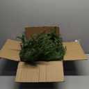 Homchy 24FT (4 * 6FT) Artificial Christmas Garland, Real Touch Norfolk Pine Greenery Garland, Ultra Full & Lush Unlit Garland for Door, Mantle, Fireplace, Stair, Indoor Outdoor Xmas Decorations