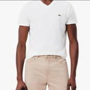 Lacoste Men's Short Sleeve V-Neck Pima Cotton Jersey T-Shirt, Size L