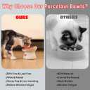 Ceramic Cat Slow Feeder, Cute Mushroom Shape Elevated Food Bowl, Shallow Raised Cat Dish, Anti Vomiting Whisker Fatigue Bowls