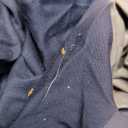 Newwiee 12 Pcs Patio Outdoor Cushion Covers Replacement Waterproof Stretch Sofa Couch Cushion Covers Washable Individual Couch Slipcovers Set Furniture Protector for Pets(20-27 Inch,Navy)