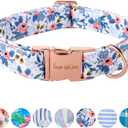 Unique Style Paws Metal Buckle Rose Collar - Durable & Cute for Small to Large Dogs