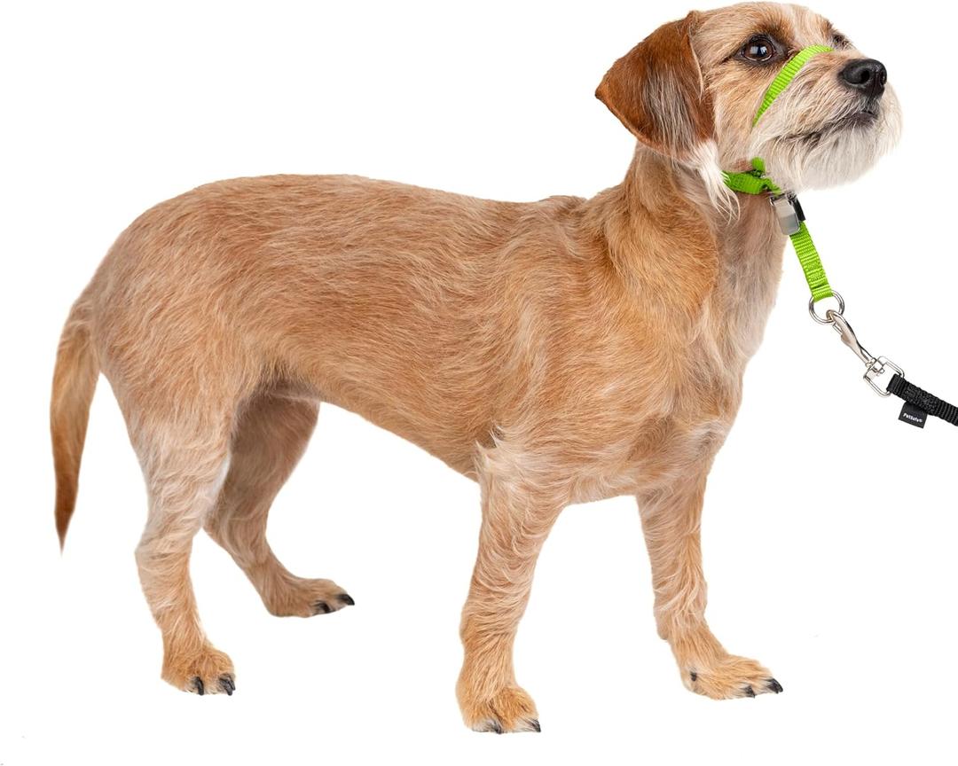 PetSafe Gentle Leader No-Pull Dog Headcollar - The Ultimate Solution to Pulling - Redirects Your Dog's Pulling for Easier Walks - Helps You Regain Control - Small, Apple Green