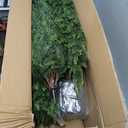 Realistic Model Trees Park Street Diorama 10pcs Miniature Craft Trees Miniature Garden (2in)